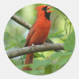 hallo! ronde sticker