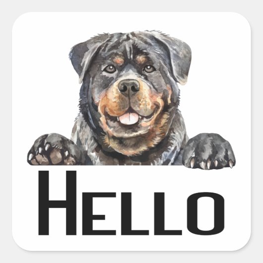 hallo Rottie Puppy Dog Waterverf Rottweiler Squ Vierkante Sticker (Voorkant)
