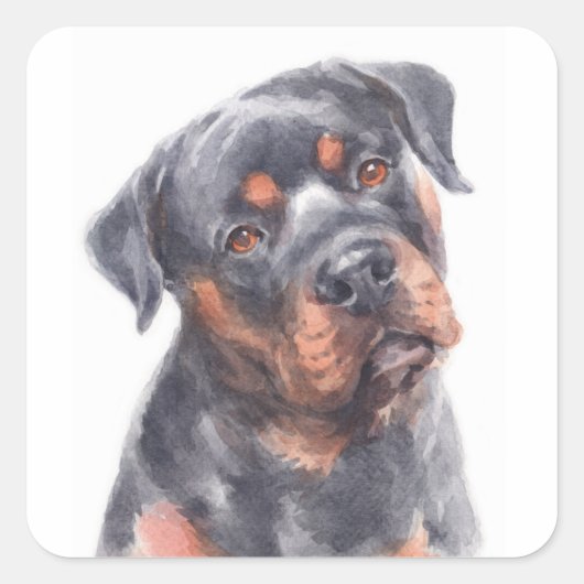 hallo Rottie Puppy Dog Waterverf Rottweiler Vierkante Sticker (Voorkant)