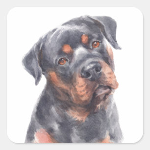 hallo Rottie Puppy Dog Waterverf Rottweiler Vierkante Sticker