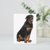 Hallo Rottweiler Puppy Dog - Denk aan jou, liefde Briefkaart (Staand voorkant)