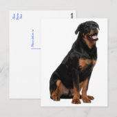 Hallo Rottweiler Puppy Dog - Denk aan jou, liefde Briefkaart (Voorkant / Achterkant)