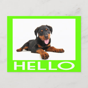 hallo Rottweiler Puppy Dog Greeting Briefkaart