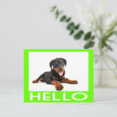 hallo Rottweiler Puppy Dog Greeting Briefkaart (Staand voorkant)