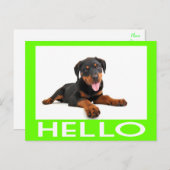 hallo Rottweiler Puppy Dog Greeting Briefkaart (Voorkant / Achterkant)