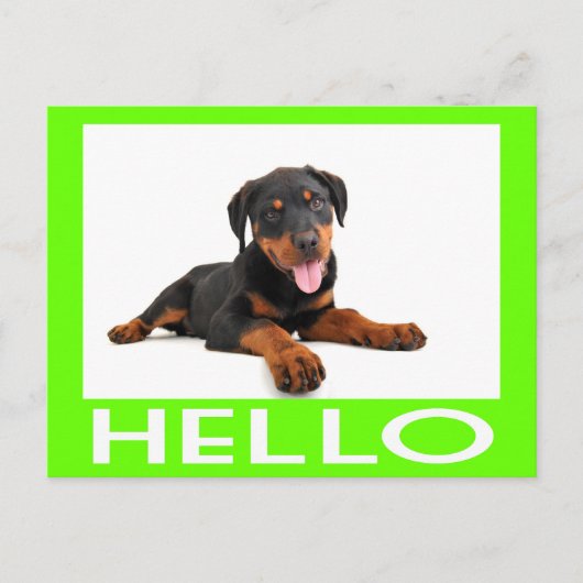 hallo Rottweiler Puppy Dog Greeting Briefkaart (Voorkant)