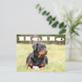hallo Rottweiler Puppy Dog Greeting Briefkaart (Staand voorkant)
