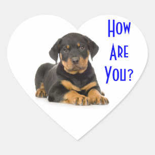 Hallo Rottweiler Puppy Honden Begroetingsstickers Hart Sticker