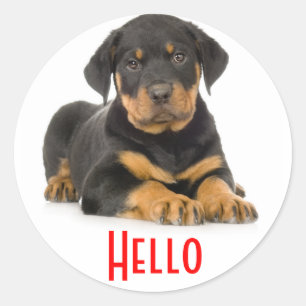 Hallo Rottweiler Puppy Honden Sticker