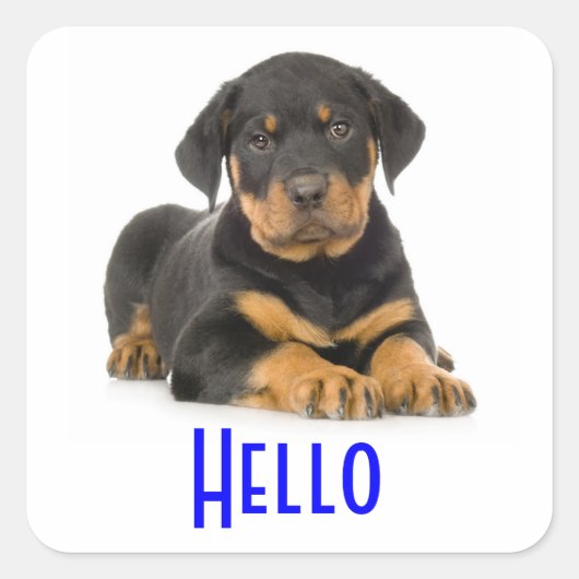 Hallo Rottweiler Puppy Hondengroet Stickers (Voorkant)