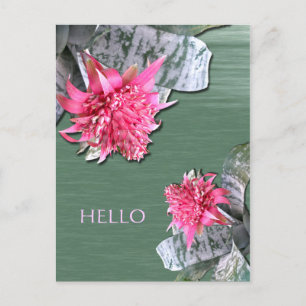 hallo Roze Flowered Bromeliad Briefkaart