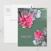 hallo Roze Flowered Bromeliad Briefkaart (Voorkant / Achterkant)