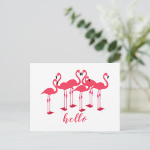 Hallo Roze kudde flamingo's Briefkaart