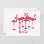 Hallo Roze kudde flamingo's Briefkaart (Voorkant / Achterkant)
