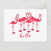 Hallo Roze kudde flamingo's Briefkaart (Voorkant)