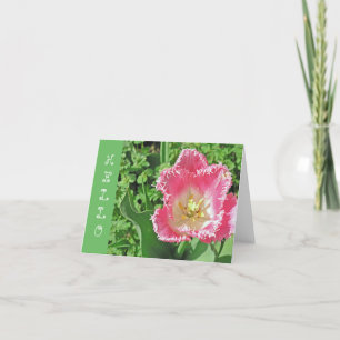 hallo "ROZE & WITTE TULP MET FRINGE /?" Kaart