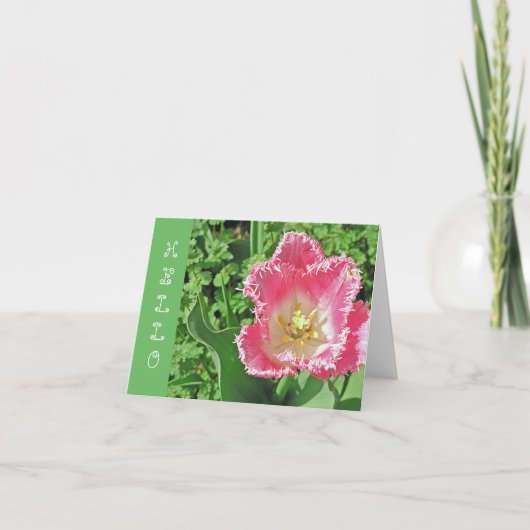 hallo "ROZE & WITTE TULP MET FRINGE /?" Kaart (Voorkant)