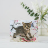 Hallo Schattig Tabby Kitten Kijken Verrast Briefkaart (Staand voorkant)