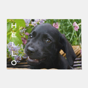 Hallo Schattig zwart labrador retriever hond puppy Deurmat