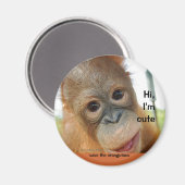 Hallo schattige Baby orang-oetan Magneet (Voorkant / Achterkant)