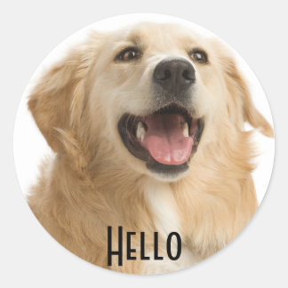 Hallo Schattigee Golden Retriever Puppy Dog Sticke Ronde Sticker