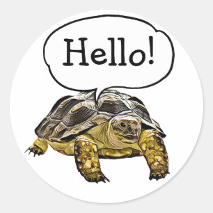 Hallo Schattigee Schildpad Stickers