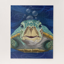 Hallo Schildpad