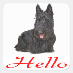 hallo Scottish Terrier Puppy Dog Sticker / Label