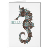 hallo Seahorse (Voorkant)