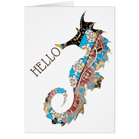 hallo Seahorse (Voorkant)