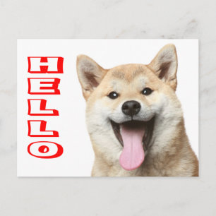 Hallo Shiba Inu Puppy Hond Groet Ansichtkaart Briefkaart