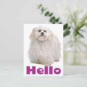 hallo Shih Tzu Puppy Dog Briefkaart (Staand voorkant)