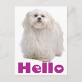 hallo Shih Tzu Puppy Dog Briefkaart (Voorkant)