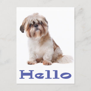 Hallo Shih Tzu Puppy Dog - Denken aan jou, vriend Briefkaart