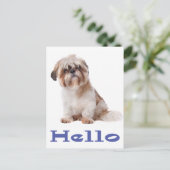 Hallo Shih Tzu Puppy Dog - Denken aan jou, vriend Briefkaart (Staand voorkant)
