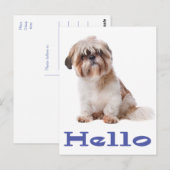 Hallo Shih Tzu Puppy Dog - Denken aan jou, vriend Briefkaart (Voorkant / Achterkant)