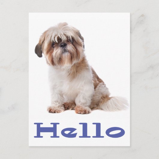 Hallo Shih Tzu Puppy Dog - Denken aan jou, vriend Briefkaart (Voorkant)