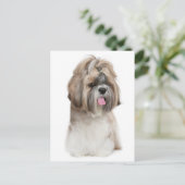 Hallo Shih Tzu Puppy Dog - Liefde, Briefkaart (Staand voorkant)