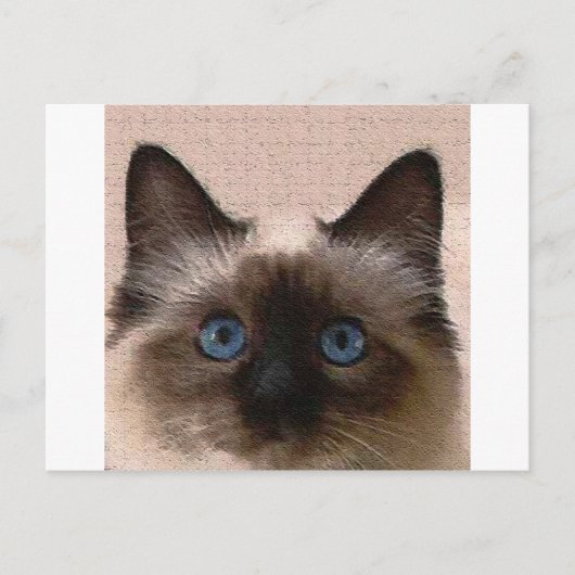 hallo siamese kat knettert oude leeftijd gebarsten briefkaart (Voorkant)