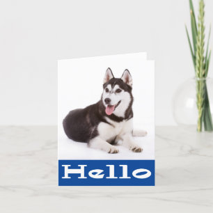 Hallo Siberian Husky Puppy Dog Blank Note Card Kaart