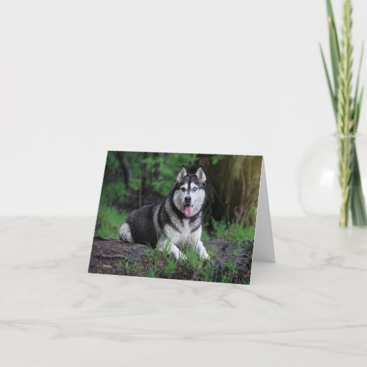 Hallo Siberische Husky Puppy Dog - Bedankkaart (Voorkant)
