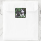 Hallo Siberische Husky Puppy Dog - Vierkante Sticker (Tas)