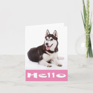 Hallo Siberische Husky Puppy Hond Blanke Notitieka Kaart
