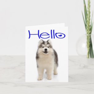 Hallo Siberische Husky Puppy Hond Blanke Notitieka Kaart