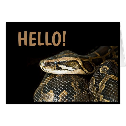 "HALLO"/ Slang, blanco wenskaart (Voorkant Horizontaal)