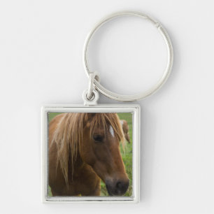 Hallo Sleutelhanger