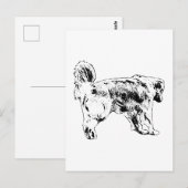 Hallo Snel, Golden Retriever Briefkaart (Voorkant / Achterkant)