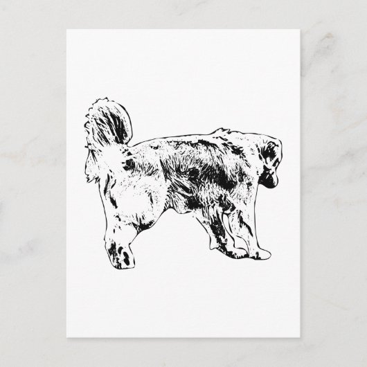 Hallo Snel, Golden Retriever Briefkaart (Voorkant)