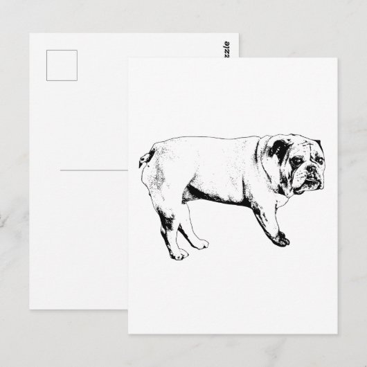 Hallo Snow-Bulldog-Briefkaart Briefkaart (Voorkant / Achterkant)