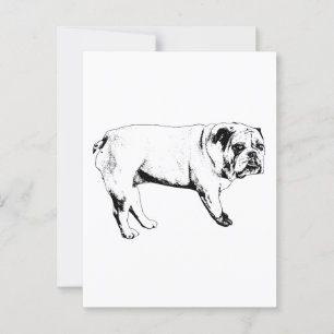 Hallo Snow-Bulldog-Briefkaart Briefkaart